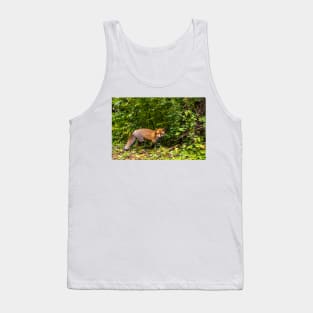 A pleasant encounter on Mount Olympus Tank Top